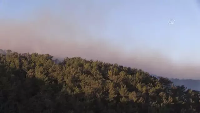 Son dakika haberi: Aydıncık'ta orman yangını (7)
