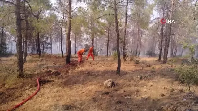 Son dakika: Kilis'teki orman yangını 5 buçuk saatte güçlükle kontrol altına alındı
