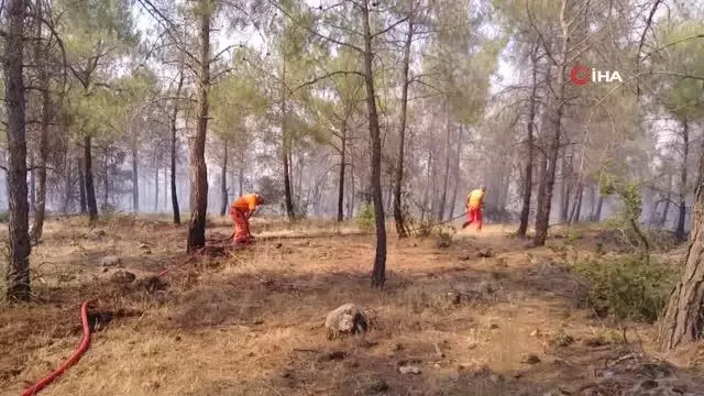 Son dakika: Kilis'teki orman yangını 5 buçuk saatte güçlükle kontrol altına alındı