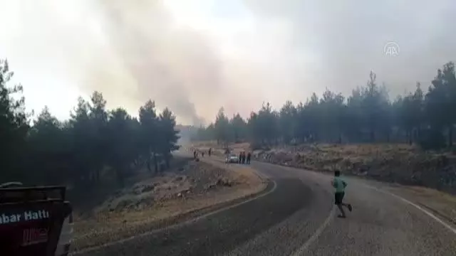 Son dakika haber | Orman yangını kontrol altına alındı
