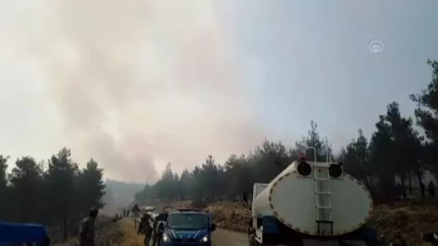 Son dakika haber | Orman yangını kontrol altına alındı