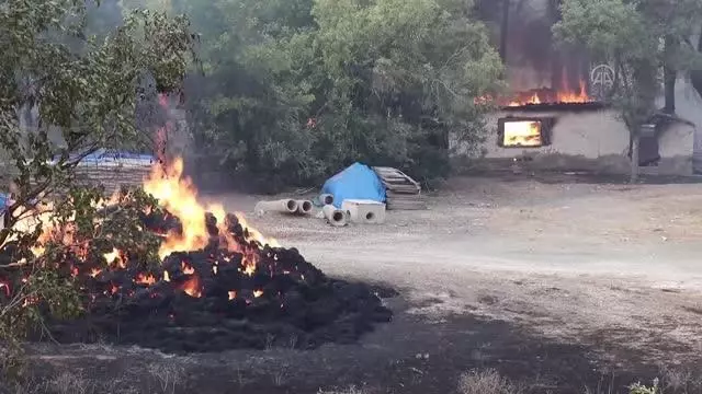 Orman yangınına müdahale sürüyor