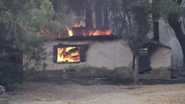 Orman yangınına müdahale sürüyor