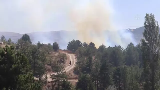 Son dakika... Ormanlık alanda çıkan yangın söndürüldü