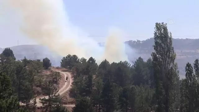 Son dakika... Ormanlık alanda çıkan yangın söndürüldü