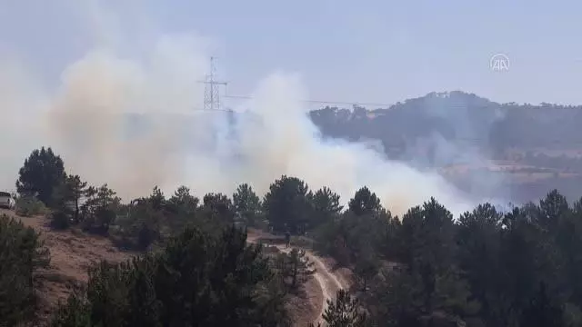 Son dakika... Ormanlık alanda çıkan yangın söndürüldü