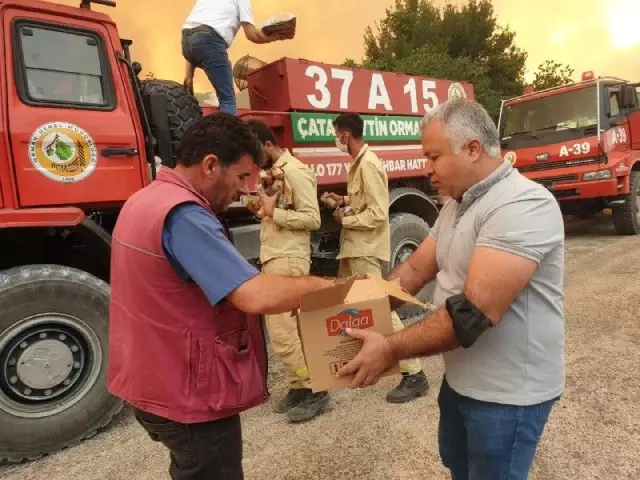 Orman yangınına müdahale sürüyor