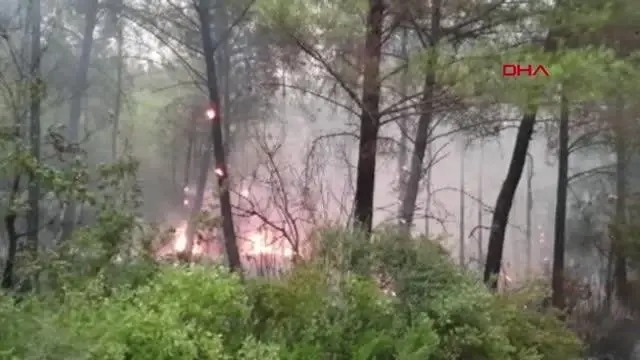 OSMANİYE'DEKİ ORMAN YANGININDA 2'NCİ GÜN; HAVADAN MÜDAHALE YENİDEN BAŞLADI