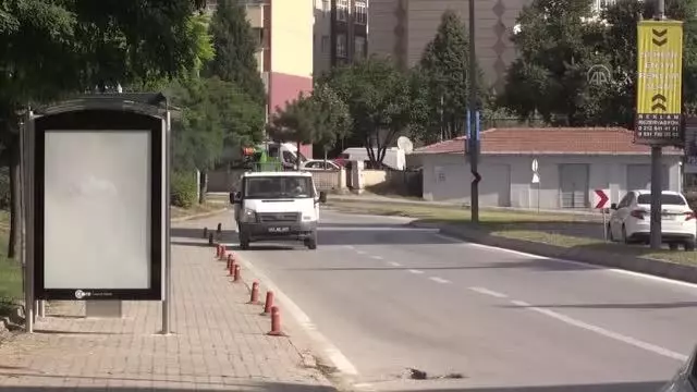Popülasyonu artan dantel böceğiyle mücadele