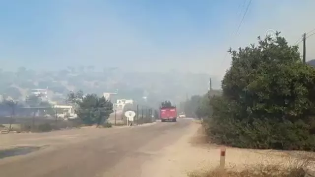 Marmaris'te çıkan orman yangınına müdahale ediliyor