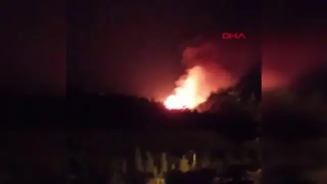 Soma'da orman yangını (1)