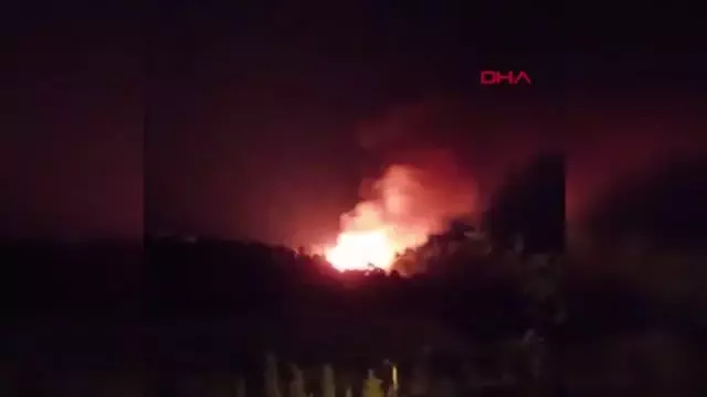 Soma'da orman yangını (1)