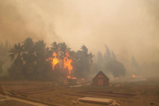 Son Dakika: Bakan Pakdemirli: 8 ilimizde orman yangını var, kontrol altına almamız zaman alabilir