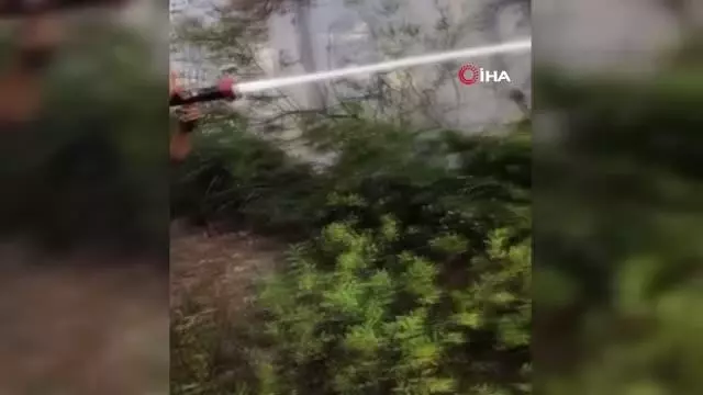 Tatile giden Adanalı gençler, yangına müdahale etti