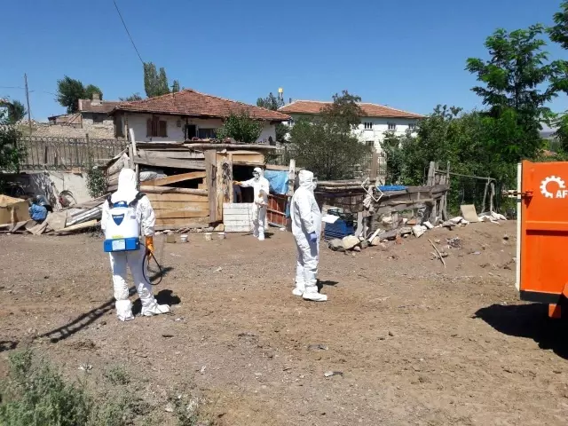 Görüntüler Türkiye'den! Korona ile mücadele sürerken kuş gribi patlak verdi, onlarca hayvan toplandı Görüntüler Türkiye'den! Korona ile mücadele sürerken kuş gribi patlak verdi, onlarca hayvan toplandı