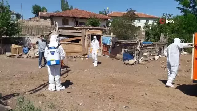 Tokat'ta kuş gribi şüphesi