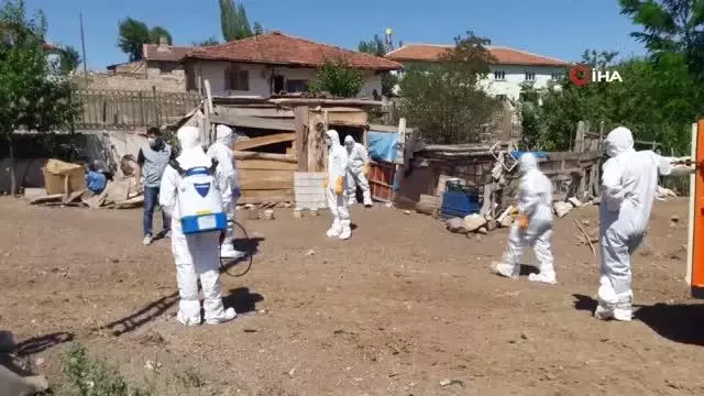 Tokat'ta kuş gribi şüphesi