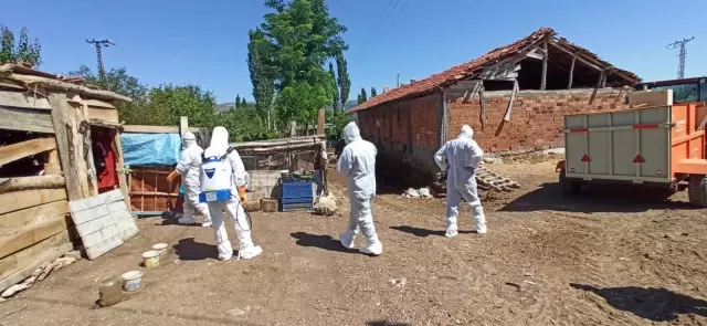 Kuş gribi şüphesiyle yaklaşık 200 kanatlı hayvan itlaf edildi