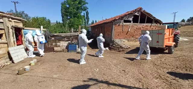 Kuş gribi şüphesiyle yaklaşık 200 kanatlı hayvan itlaf edildi