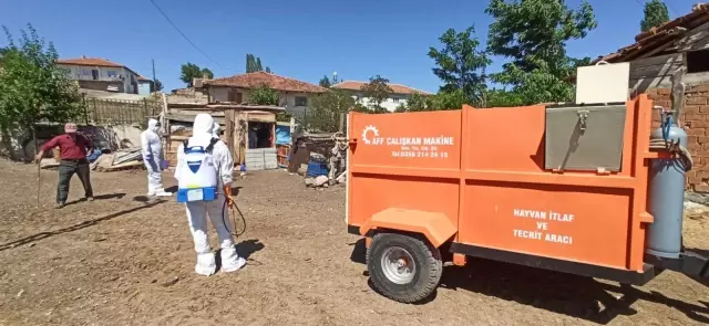 Kuş gribi şüphesiyle yaklaşık 200 kanatlı hayvan itlaf edildi