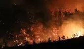 Türkiye amaciyla kara gün! Antalya'dan ardindan 5 şehirde dahada yangın çıktı Türkiye amaciyla kara gün! Antalya'dan ardindan 5 şehirde dahada yangın çıktı