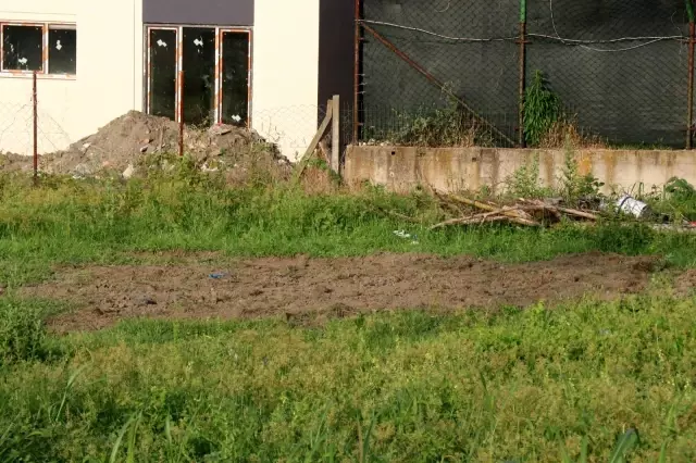 Cesetlerini köpeklerin bulduğu karı koca cinayetinde yeni detaylar! Bir numaralı şüpheli üvey kız kardeş