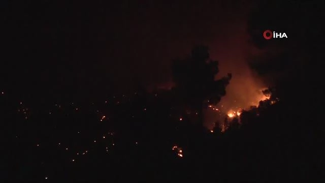 Yahyalı'daki Milli Park yangınında alevler geceyi aydınlattı