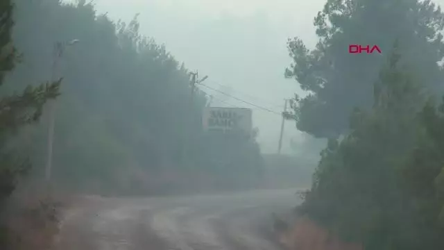 Son dakika haber: YANGIN MANAVGAT ŞELALESİ'NE YAKLAŞTI