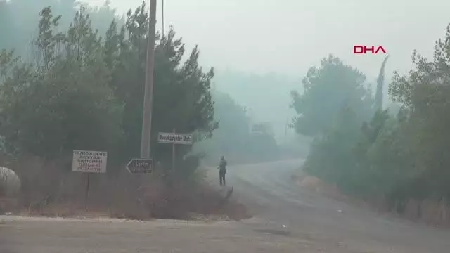 Son dakika haber: YANGIN MANAVGAT ŞELALESİ'NE YAKLAŞTI