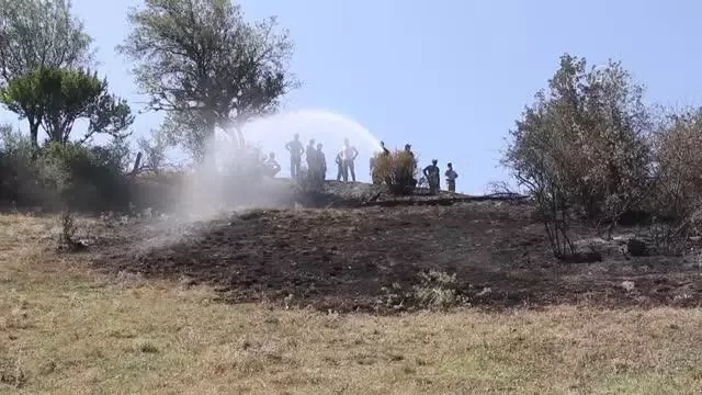 Yangında 7 dönüm arazi zarar gördü