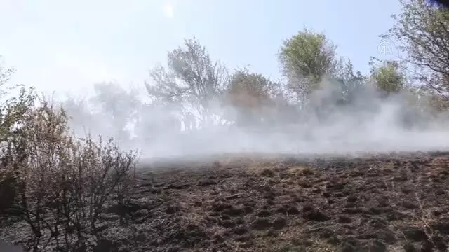 Yangında 7 dönüm arazi zarar gördü