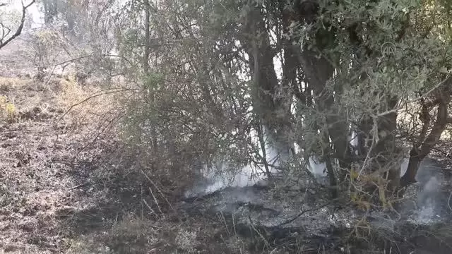 Yangında 7 dönüm arazi zarar gördü