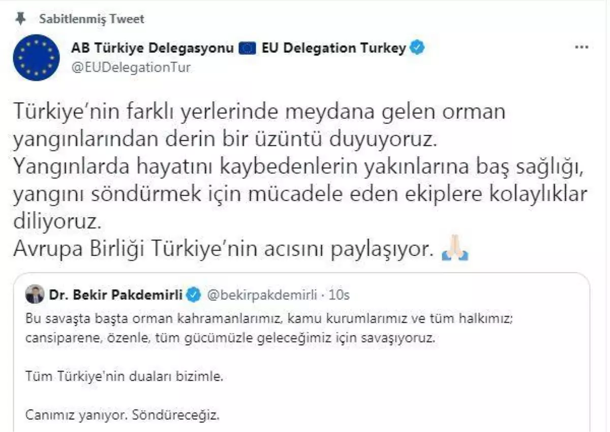 AB Türkiye Delegasyonu: AB Türkiye'nin acısını paylaşıyor