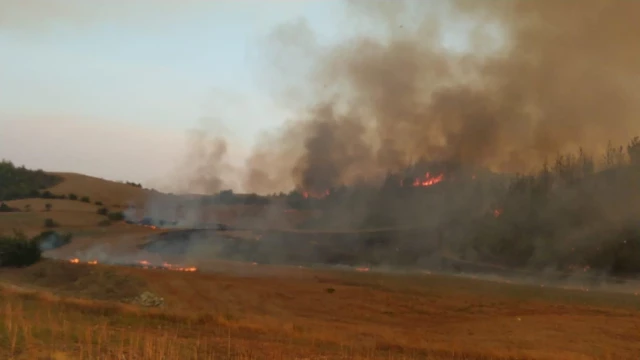 Adana Aladağ'daki orman yangını iki ilçeye daha sıçradı