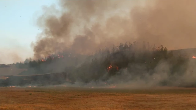 Adana Aladağ'daki orman yangını iki ilçeye daha sıçradı