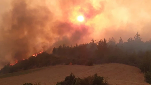 adana aladağ'daki orman yangını iki ilçeye daha sıçradı