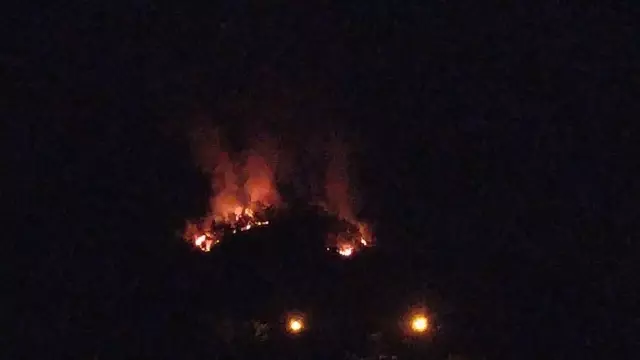 Adana Kozan'da çıkan ikinci orman yangınına müdahale ediliyor