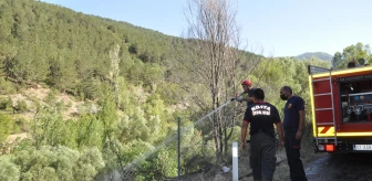 Akşehir'de piknik alanında ot yangını