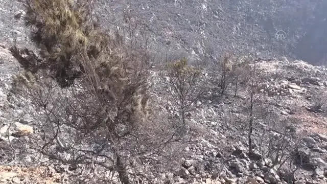 Son dakika haberi: Aydıncık'taki yangından etkilenenler yaşadıklarını anlattı