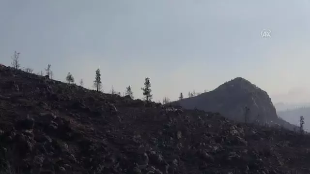 Son dakika haberi: Aydıncık'taki yangından etkilenenler yaşadıklarını anlattı