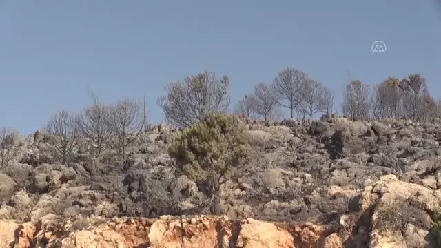 Son dakika haberi: Aydıncık'taki yangından etkilenenler yaşadıklarını anlattı