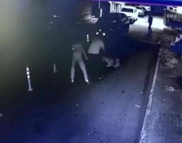 BAĞCILAR'DA 3 KİŞİ, SOKAK KEDİSİNİ GEZDİRDİKLERİ PİTBULL'A ÖLDÜRTTÜ