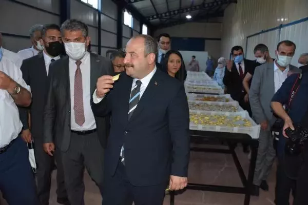 Son dakika! Bakan Varank: Artvin, Rize ve Düzce'de selden etkilenen esnafa 'acil destek kredisi' vereceğiz (3)