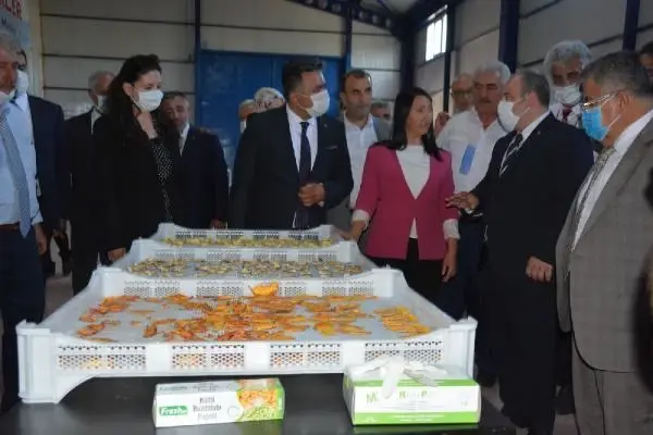 Son dakika! Bakan Varank: Artvin, Rize ve Düzce'de selden etkilenen esnafa 'acil destek kredisi' vereceğiz (3)