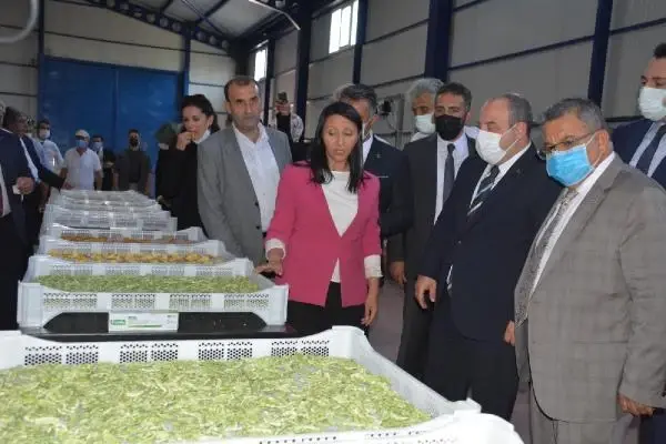 Son dakika! Bakan Varank: Artvin, Rize ve Düzce'de selden etkilenen esnafa 'acil destek kredisi' vereceğiz (3)