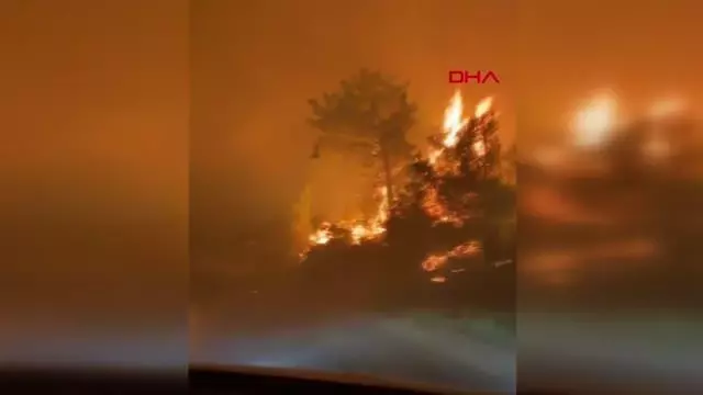 Manavgat'taki yangınla ilgili belediye başkanından halka çağrı: Bu bir savaş