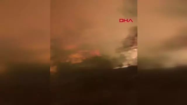 Manavgat'taki yangınla ilgili belediye başkanından halka çağrı: Bu bir savaş