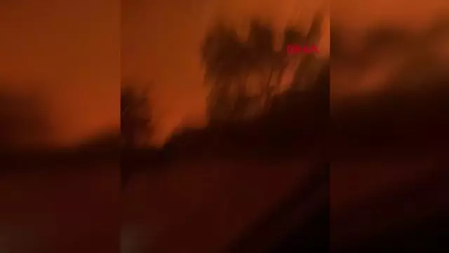 Manavgat'taki yangınla ilgili belediye başkanından halka çağrı: Bu bir savaş