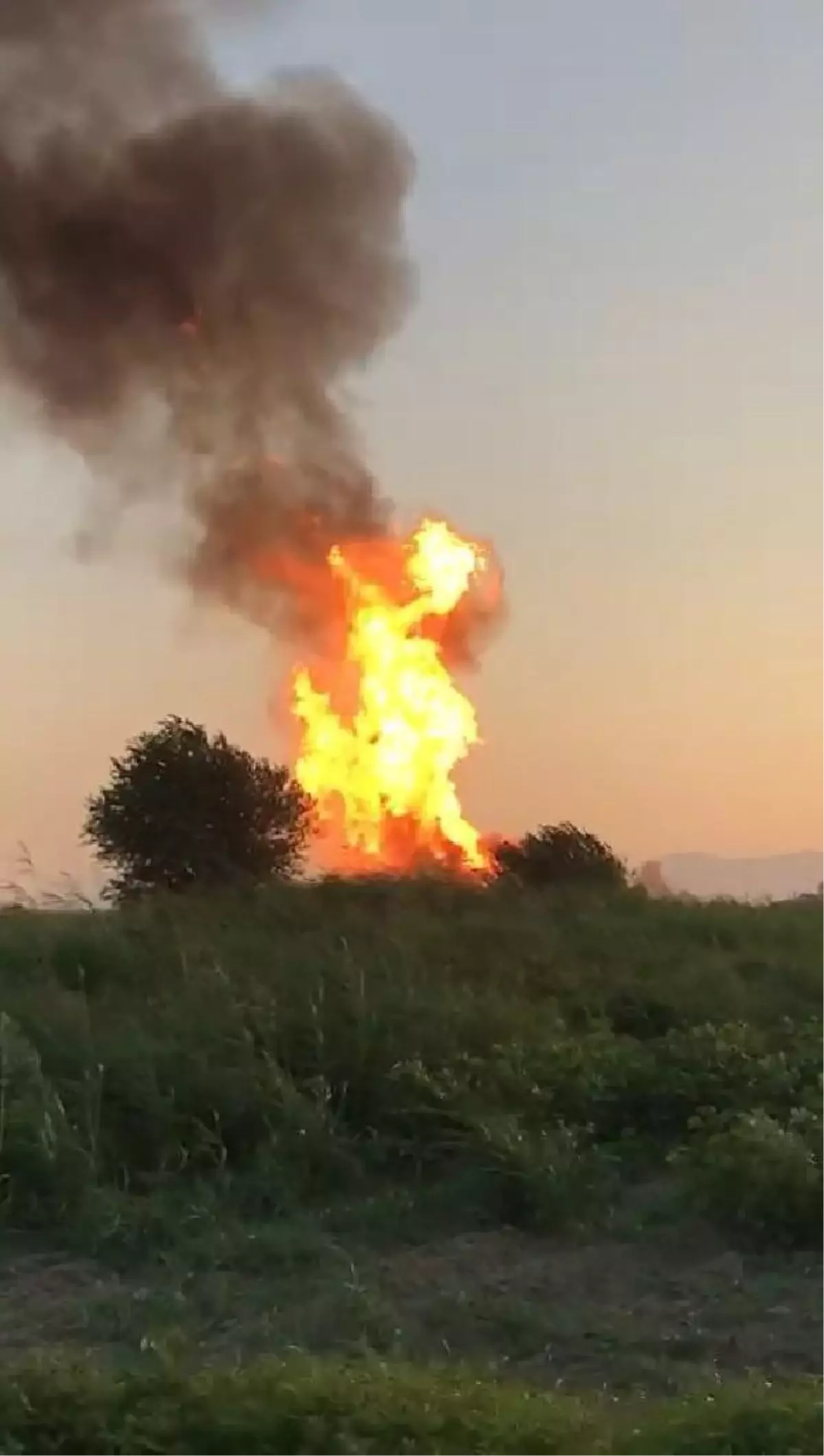 Biogaz enerji tesisinde yangın ve patlama; alevler gökyüzüne yükseldi