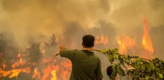Kırıkkale: Ciğerlerimiz yanıyor! İşte il il kontrol altına alınan ve devam eden yangınlar Kırıkkale: Ciğerlerimiz yanıyor! İşte il il kontrol altına alınan ve devam eden yangınlar